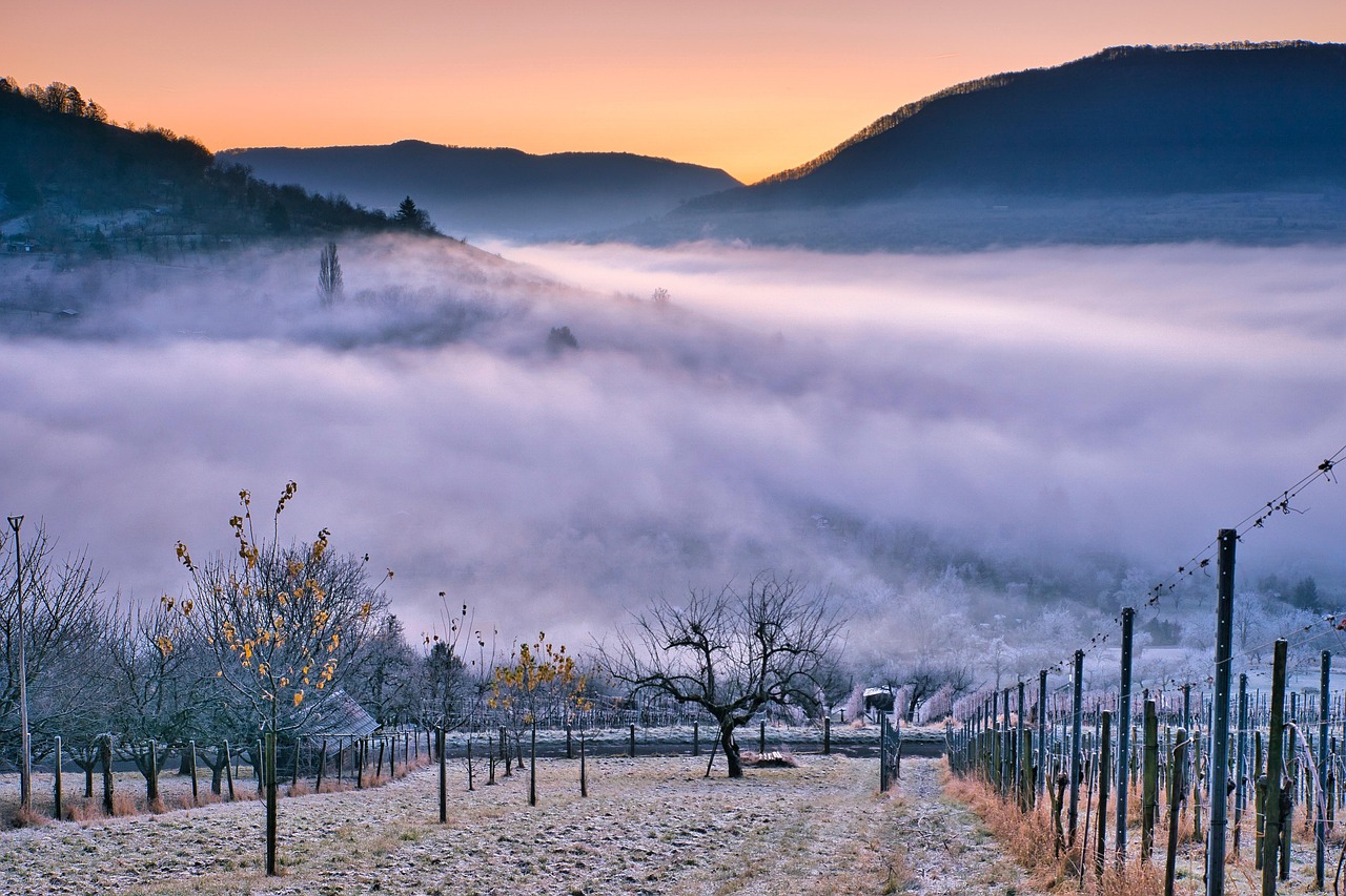 Beyond the Vineyard: Luxury Wine Travel in Off-Season Europe